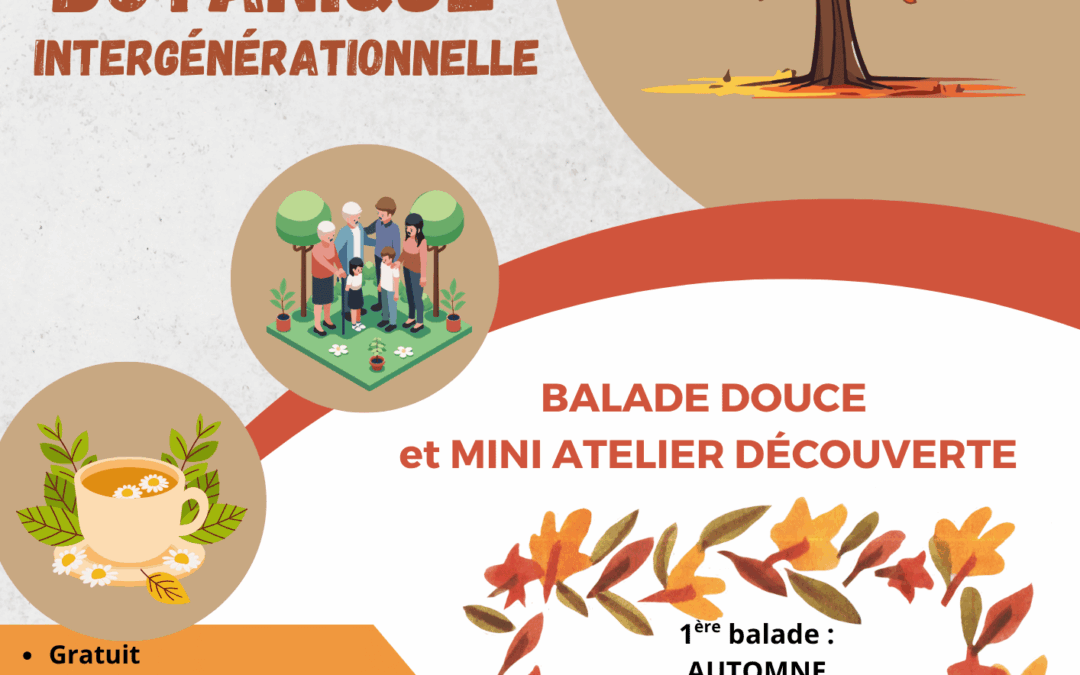 Balade botanique intergénérationnelle : balade d’automne