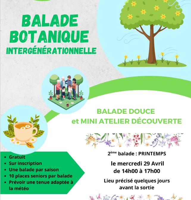 Balade botanique intergénérationnelle : balade de printemps